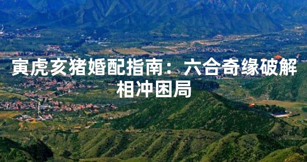 寅虎亥猪婚配指南：六合奇缘破解相冲困局