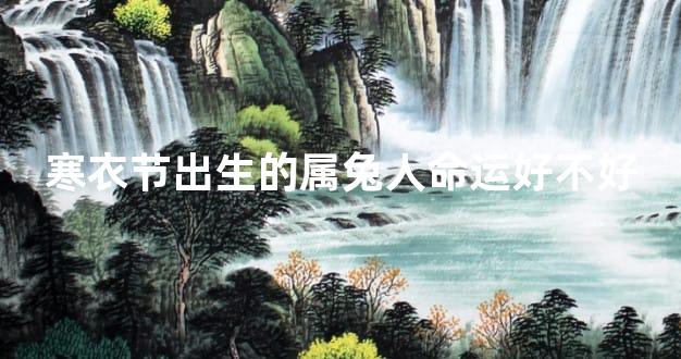 寒衣节出生的属兔人命运好不好