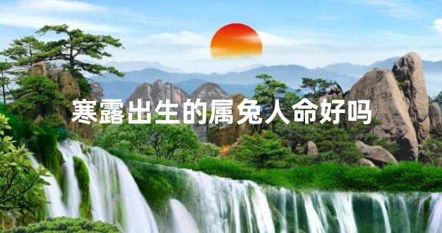 寒露出生的属兔人命好吗