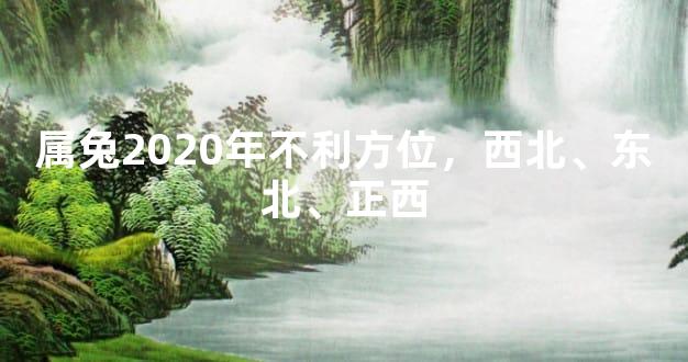 属兔2020年不利方位，西北、东北、正西