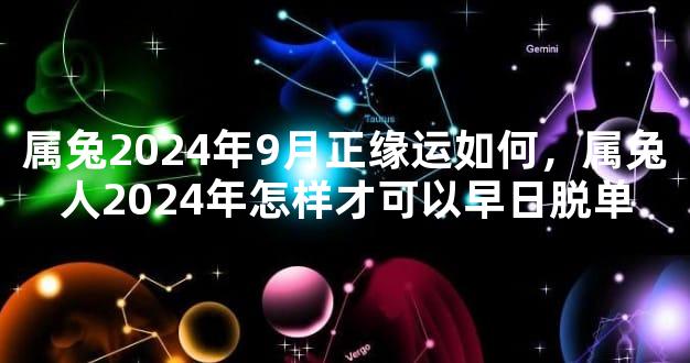 属兔2024年9月正缘运如何，属兔人2024年怎样才可以早日脱单