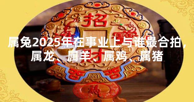 属兔2025年在事业上与谁最合拍，属龙、属羊、属鸡、属猪