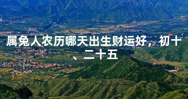 属兔人农历哪天出生财运好，初十、二十五