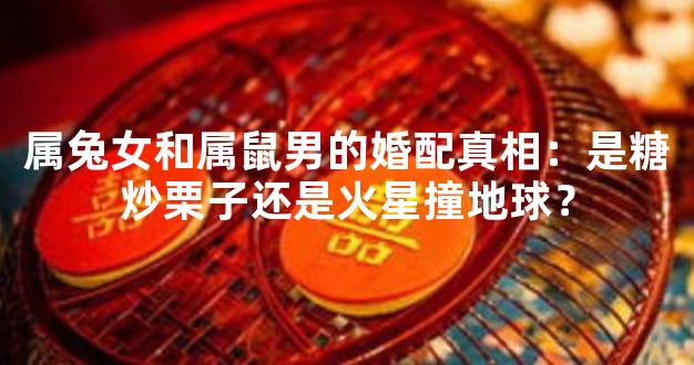 属兔女和属鼠男的婚配真相：是糖炒栗子还是火星撞地球？