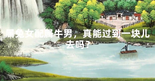 属兔女配属牛男，真能过到一块儿去吗？