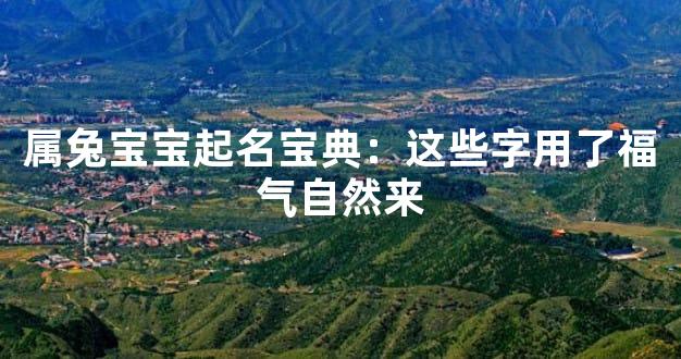 属兔宝宝起名宝典：这些字用了福气自然来