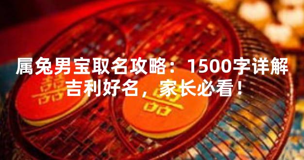 属兔男宝取名攻略：1500字详解吉利好名，家长必看！