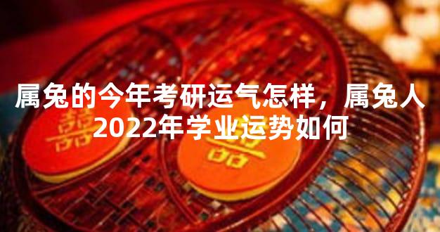 属兔的今年考研运气怎样，属兔人2022年学业运势如何