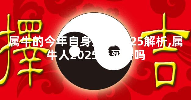 属牛的今年自身灾难2025解析,属牛人2025能买房吗