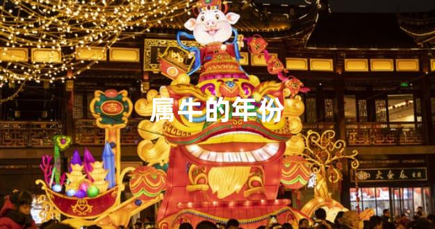 属牛的年份