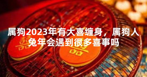 属狗2023年有大喜缠身，属狗人兔年会遇到很多喜事吗
