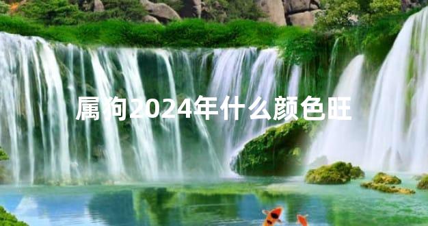 属狗2024年什么颜色旺