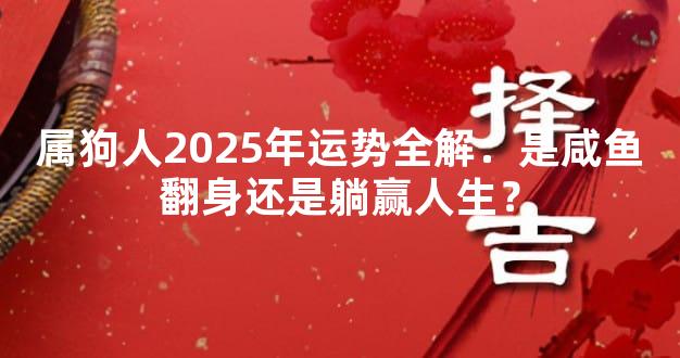 属狗人2025年运势全解：是咸鱼翻身还是躺赢人生？