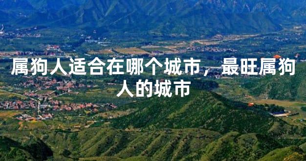 属狗人适合在哪个城市，最旺属狗人的城市