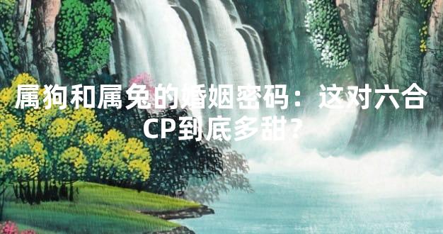 属狗和属兔的婚姻密码：这对六合CP到底多甜？