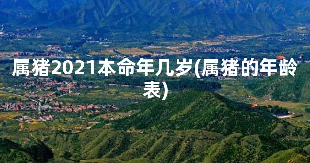 属猪2021本命年几岁(属猪的年龄表)