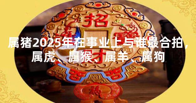 属猪2025年在事业上与谁最合拍，属虎、属猴、属羊、属狗
