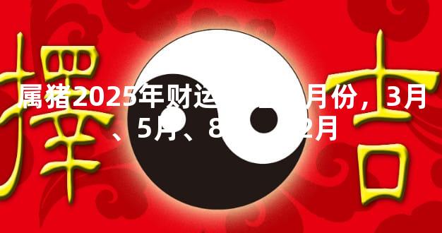 属猪2025年财运最旺的月份，3月、5月、8月、12月
