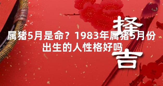 属猪5月是命？1983年属猪5月份出生的人性格好吗
