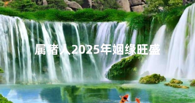 属猪人2025年姻缘旺盛