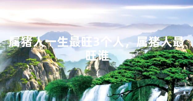 属猪人一生最旺3个人，属猪人最旺谁