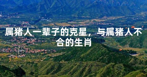 属猪人一辈子的克星，与属猪人不合的生肖