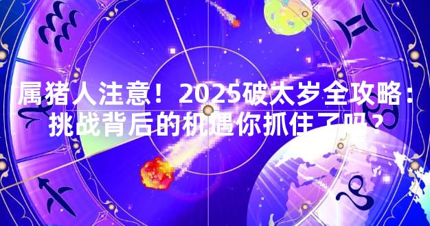 属猪人注意！2025破太岁全攻略：挑战背后的机遇你抓住了吗？