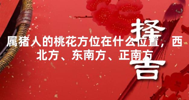 属猪人的桃花方位在什么位置，西北方、东南方、正南方
