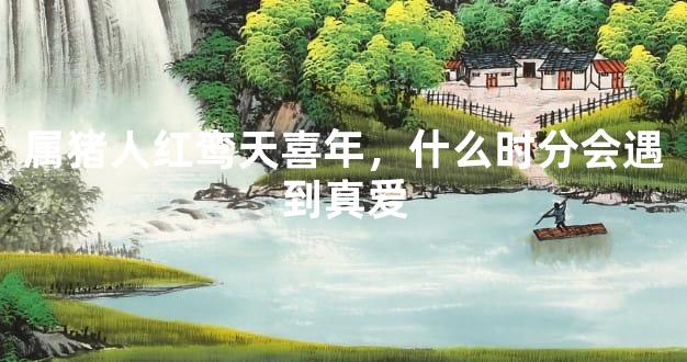 属猪人红鸾天喜年，什么时分会遇到真爱