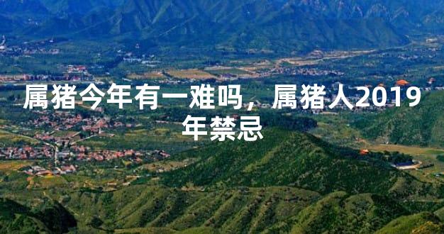 属猪今年有一难吗，属猪人2019年禁忌