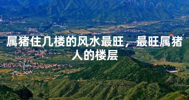 属猪住几楼的风水最旺，最旺属猪人的楼层