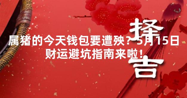属猪的今天钱包要遭殃？5月15日财运避坑指南来啦！