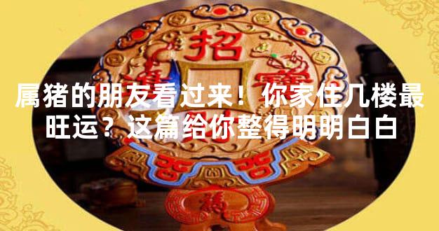 属猪的朋友看过来！你家住几楼最旺运？这篇给你整得明明白白