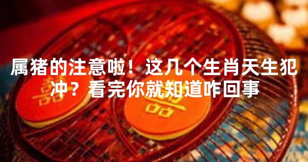 属猪的注意啦！这几个生肖天生犯冲？看完你就知道咋回事
