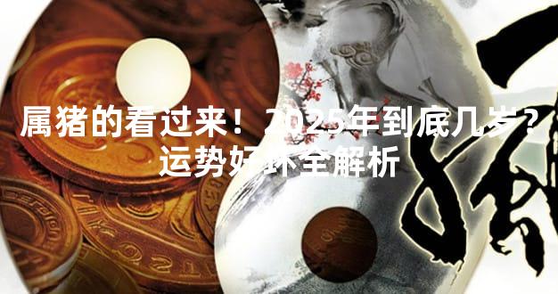 属猪的看过来！2025年到底几岁？运势好坏全解析