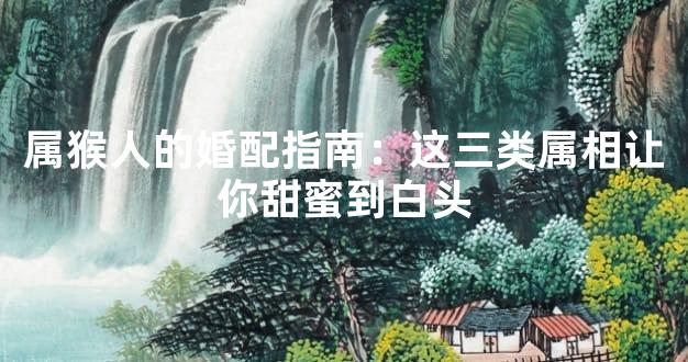 属猴人的婚配指南：这三类属相让你甜蜜到白头