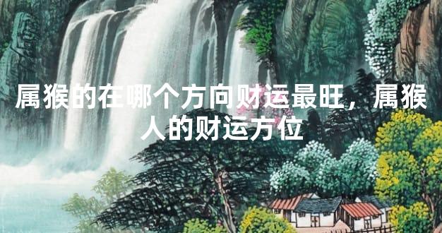 属猴的在哪个方向财运最旺，属猴人的财运方位
