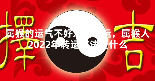 属猴的运气不好怎么转运，属猴人2022年转运方法是什么