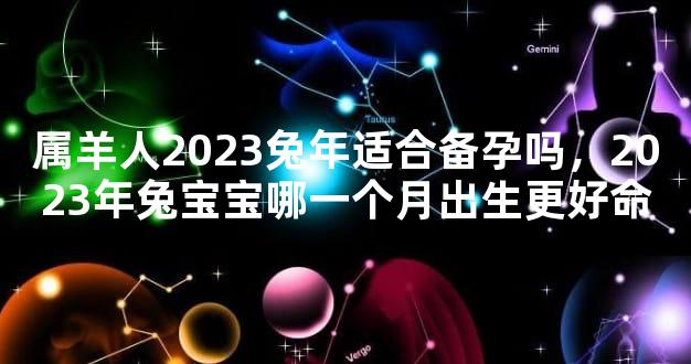 属羊人2023兔年适合备孕吗，2023年兔宝宝哪一个月出生更好命