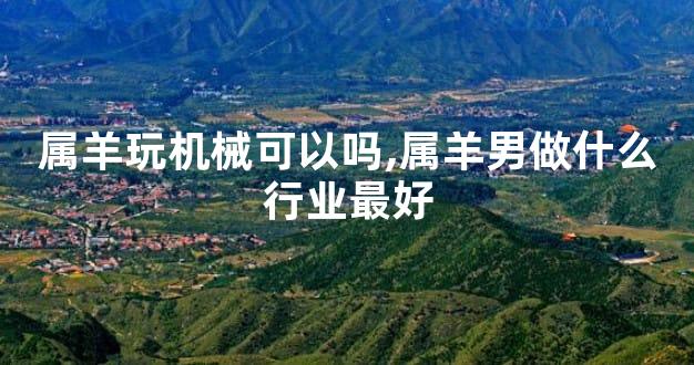 属羊玩机械可以吗,属羊男做什么行业最好