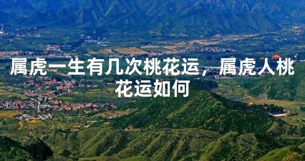 属虎一生有几次桃花运，属虎人桃花运如何