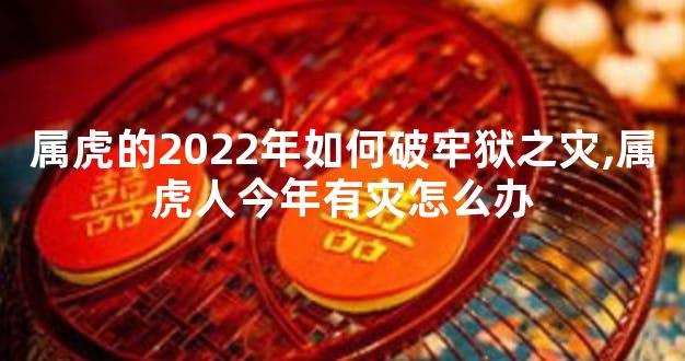 属虎的2022年如何破牢狱之灾,属虎人今年有灾怎么办