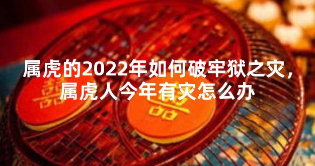 属虎的2022年如何破牢狱之灾，属虎人今年有灾怎么办