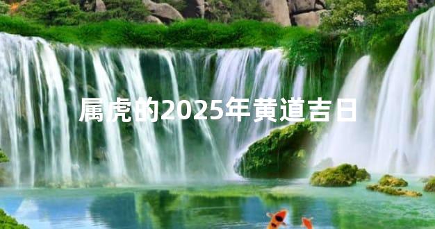 属虎的2025年黄道吉日