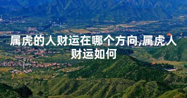 属虎的人财运在哪个方向,属虎人财运如何