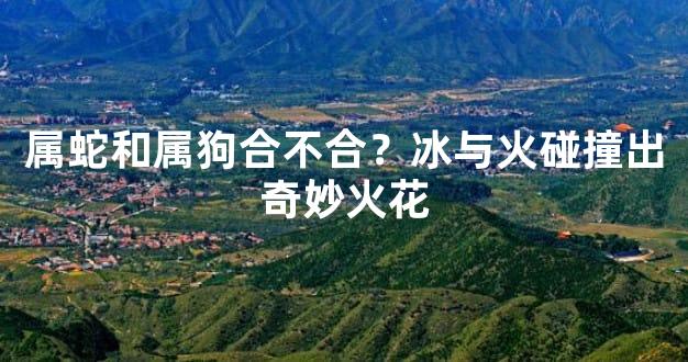 属蛇和属狗合不合？冰与火碰撞出奇妙火花