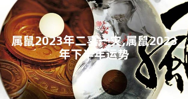 属鼠2023年二喜一灾,属鼠2023年下半年运势