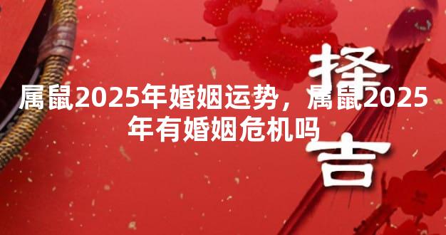 属鼠2025年婚姻运势，属鼠2025年有婚姻危机吗