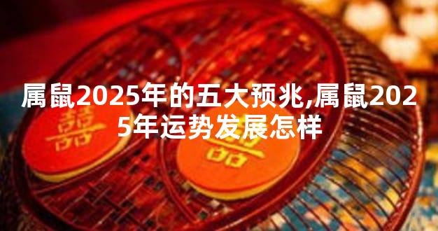 属鼠2025年的五大预兆,属鼠2025年运势发展怎样