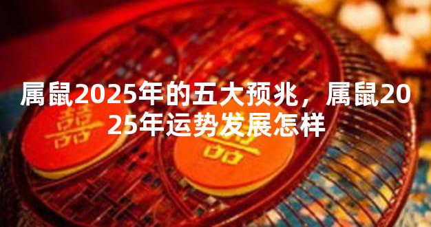 属鼠2025年的五大预兆，属鼠2025年运势发展怎样